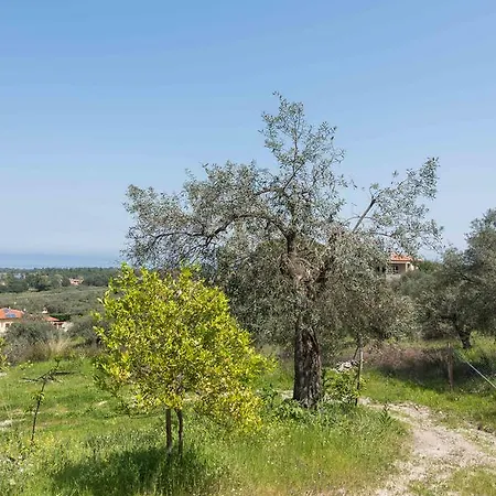 Sea View Tatil Evi