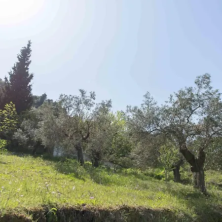 بيت للعطل Sea View فوروفورو