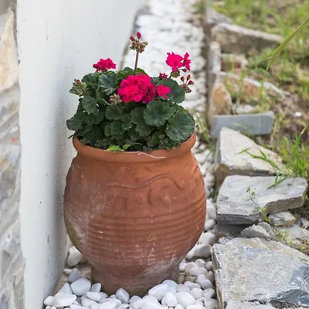 Sea View فوروفورو